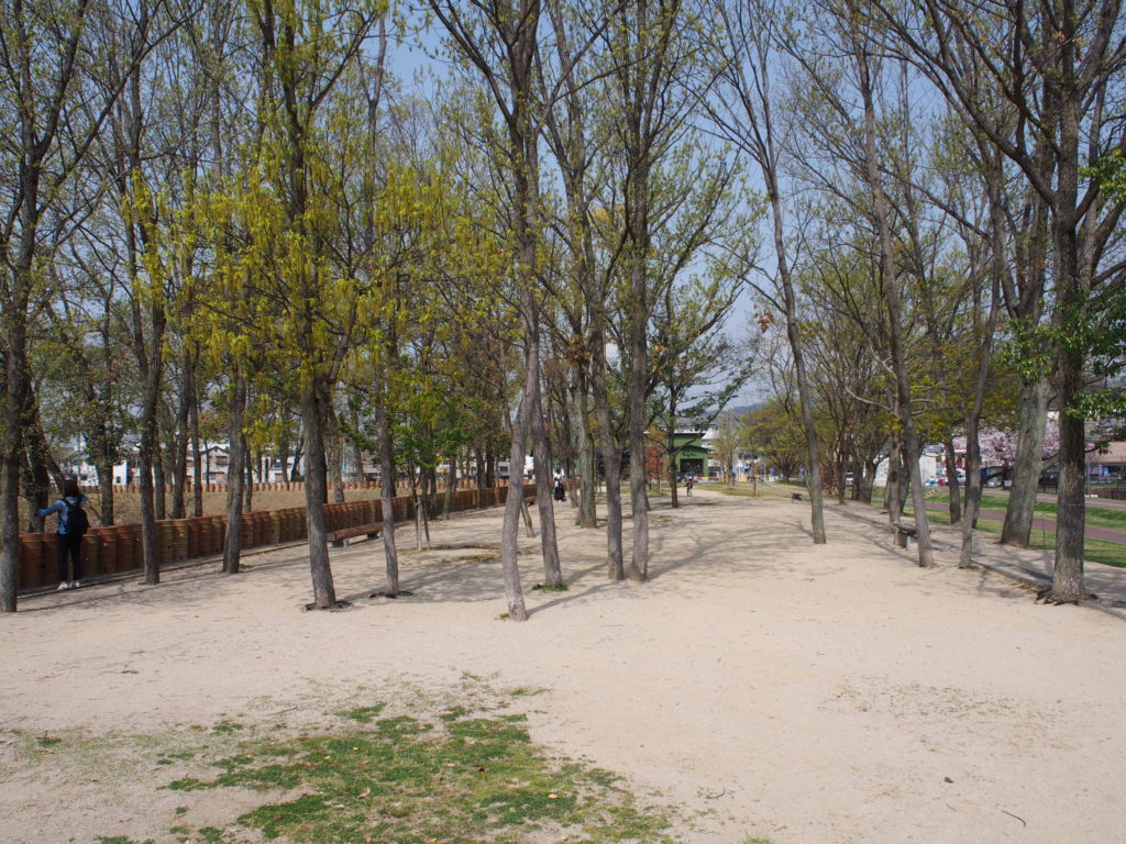 今城塚古墳の公園 いましろ大王の杜 高槻plus